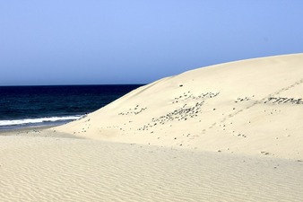 Marketing in 4-Sterne-Resort auf Gran Canaria (CANGC06A)