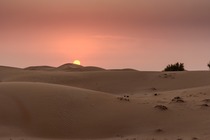 Food & Beverage in 5-Sterne-Hotel in Dubai (VAEDUB11A)